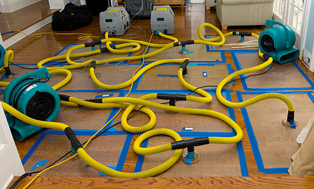 Professional Structural Drying And Dehumidification technician working in Greenville, GA